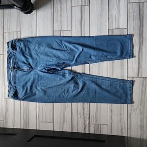 J.Jill, 20 jeans, blue